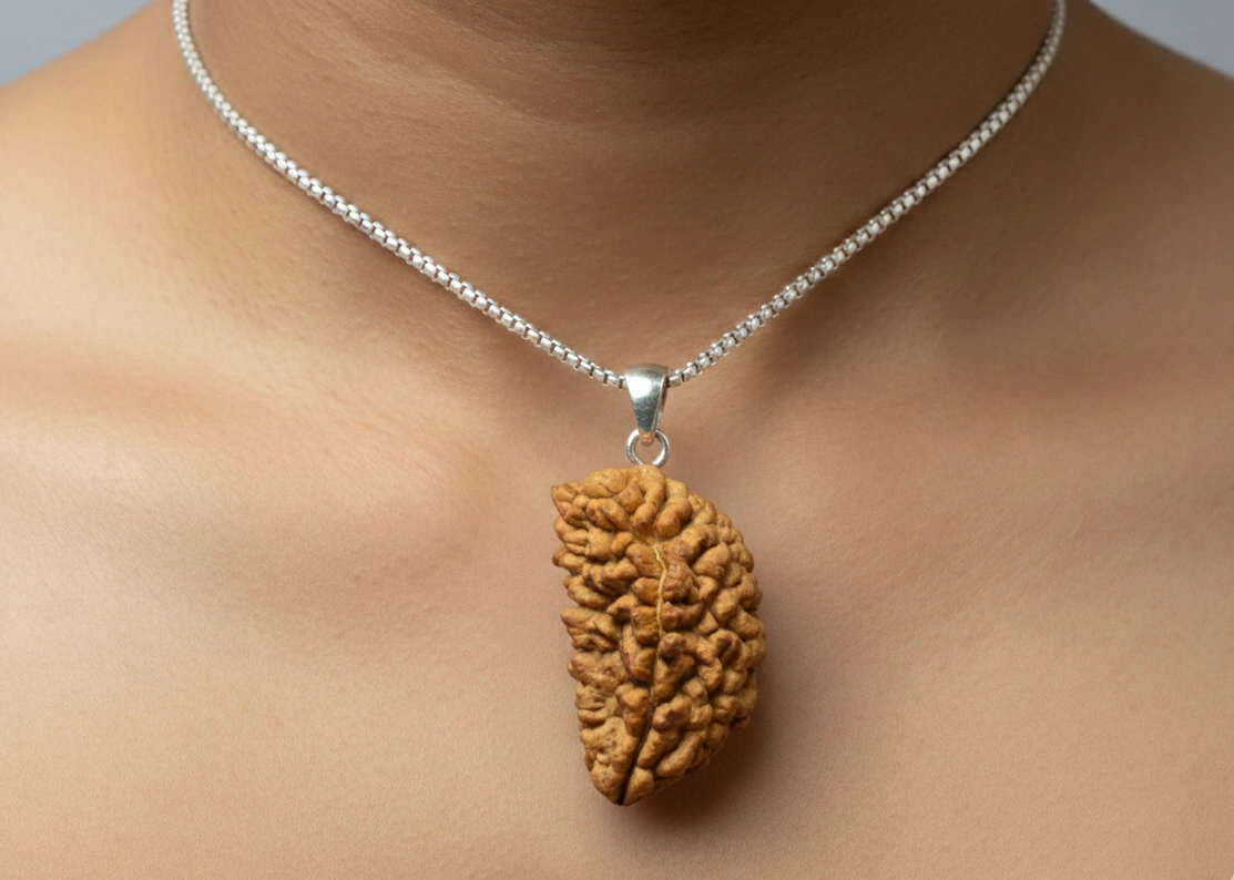 Ek Mukhi Rudraksha Side View